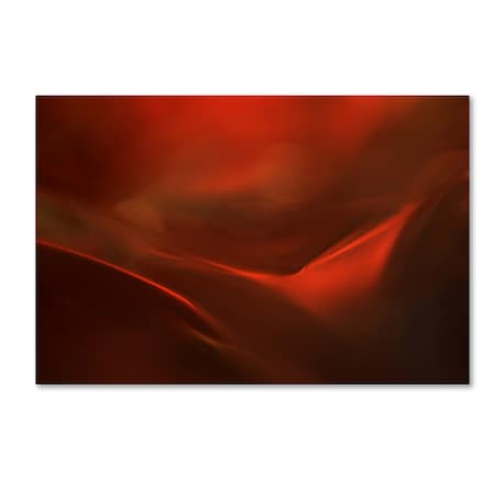 Heidi Westum 'The Red Valley' Canvas Art,22x32
